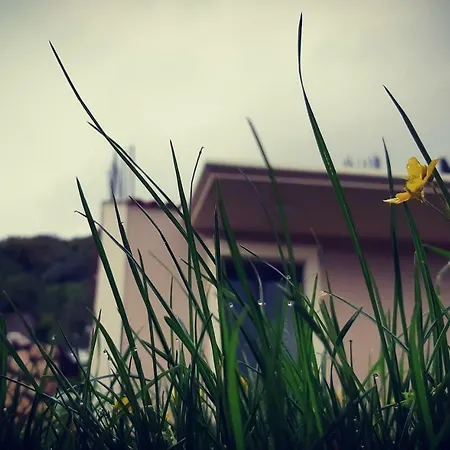 La Casa Di Athena *